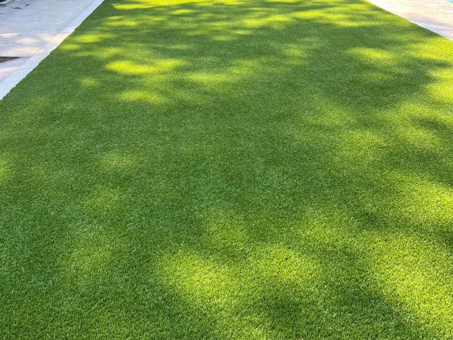 Artificial lawn between the rear porch and pool edge