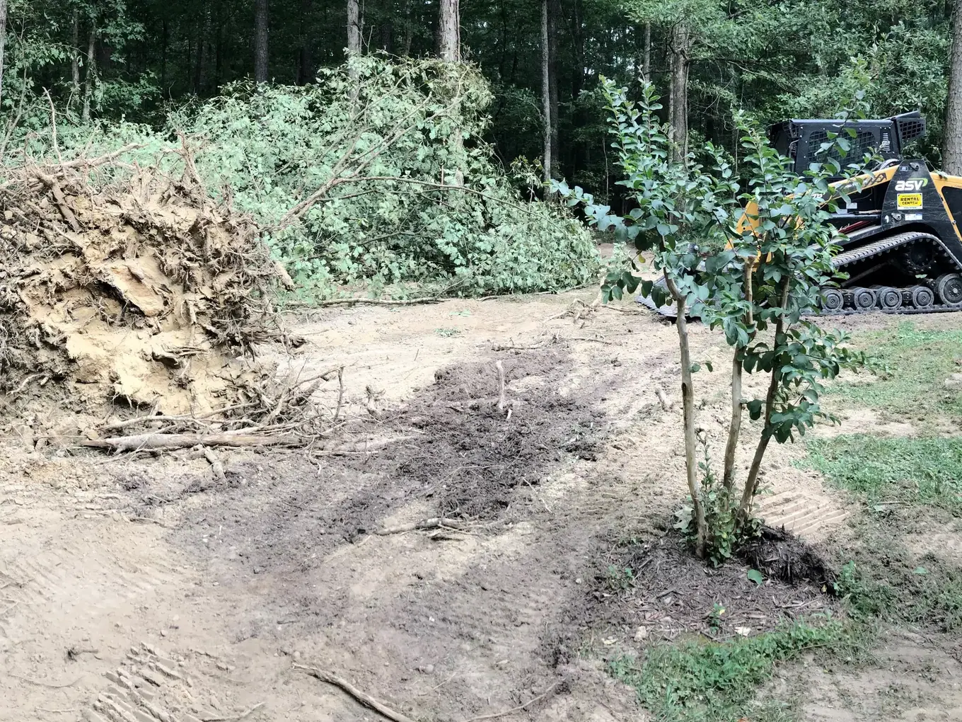 Tree clearing and earthwork before lawn preparation