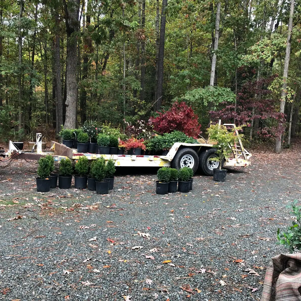 Plant Selection