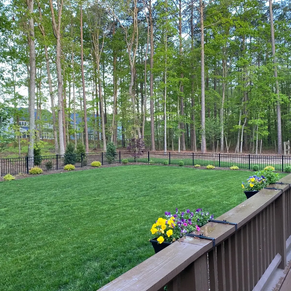 Complete Landscaping: Final project with irrigation installed