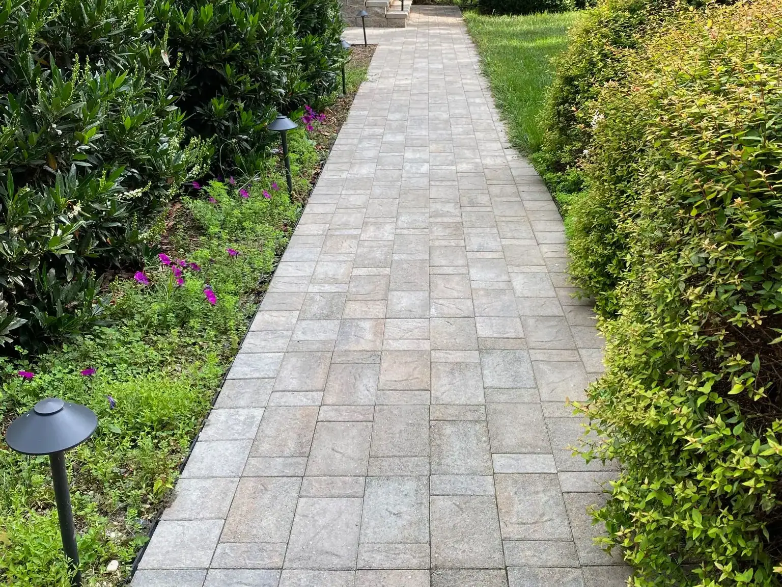 Path lights along the paver walkway
