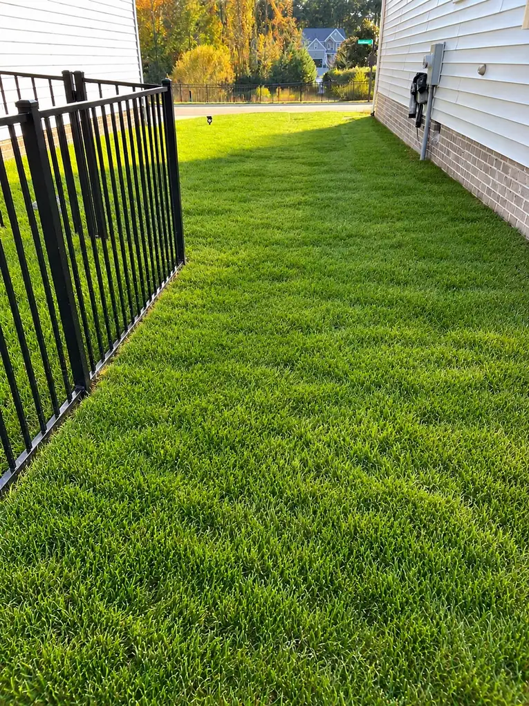 AI visualization of the potential finished lawn above the French drain