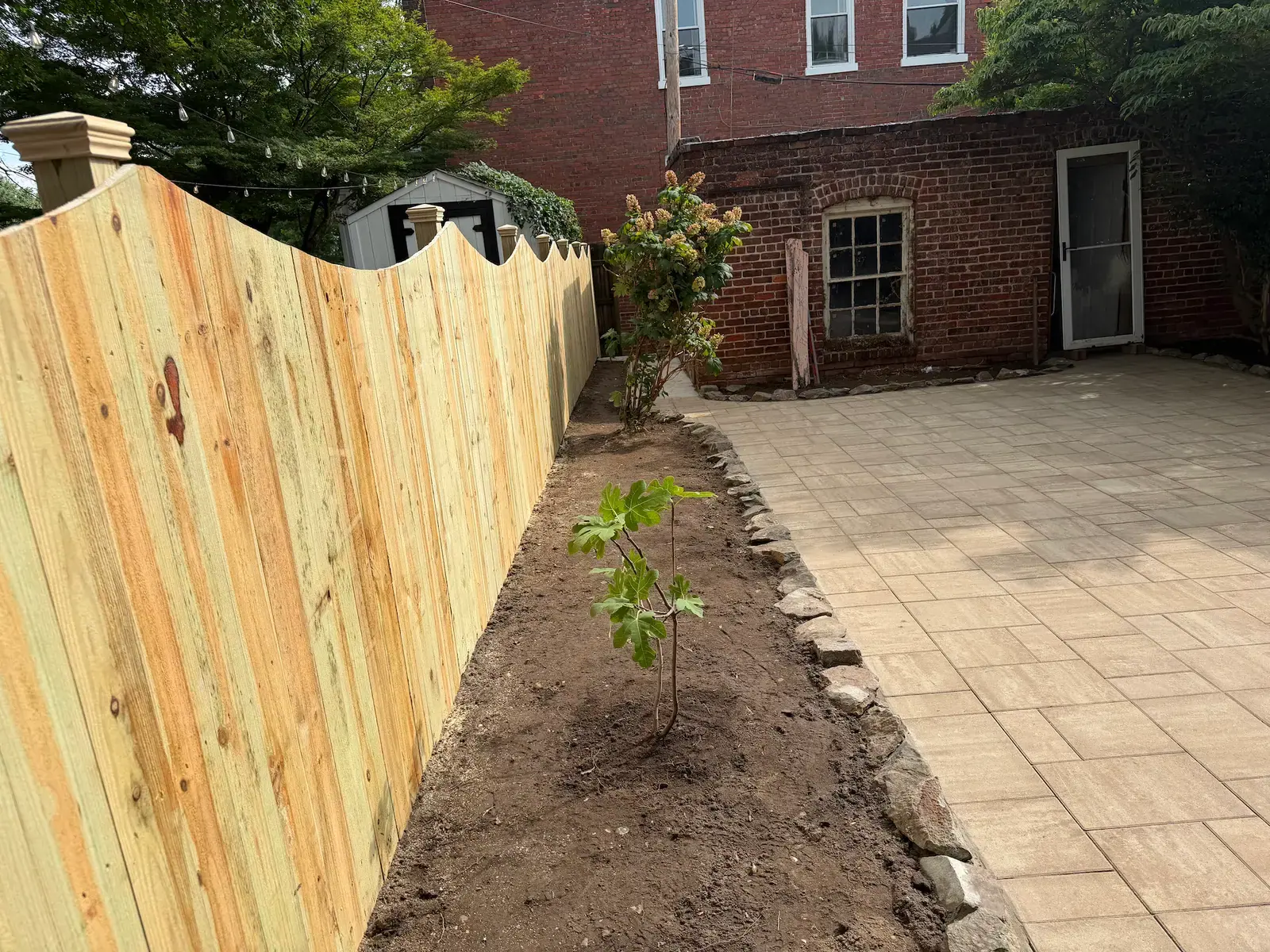 Newly planted border along the fence beside the paver patio