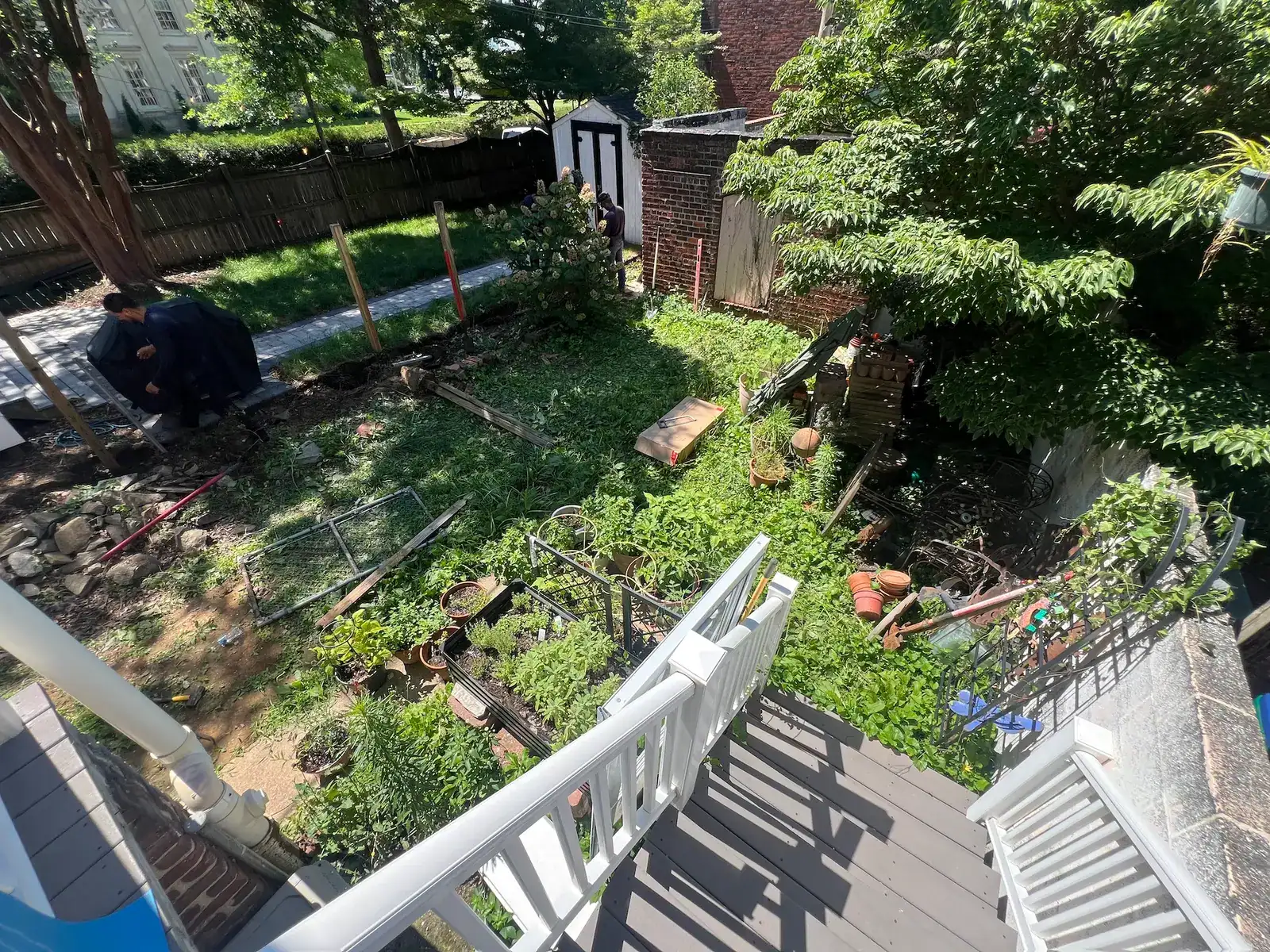 Original garden layout viewed from the rear steps