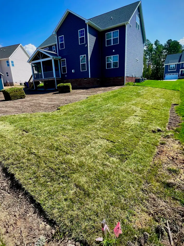 Fresh sod laid beside the backyard patio
