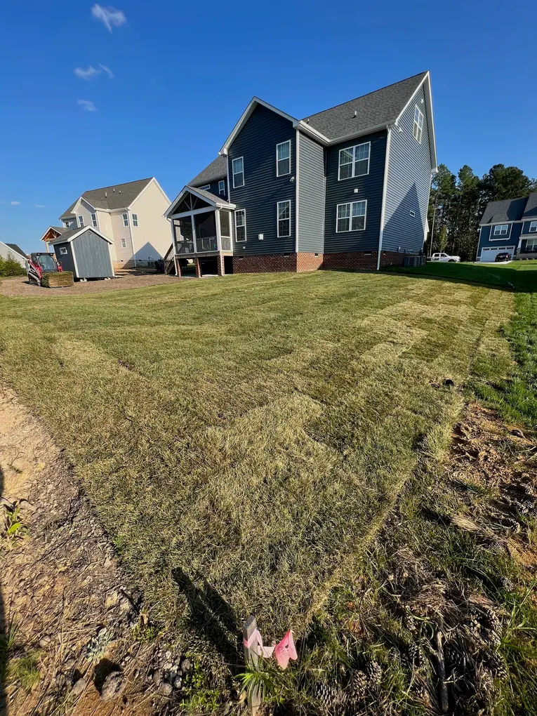Newly laid sod viewed from the garden edge