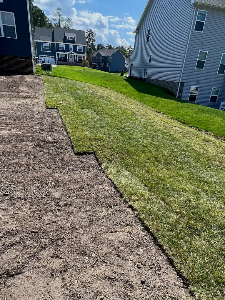 Straight sod edges beside the unplanted ground