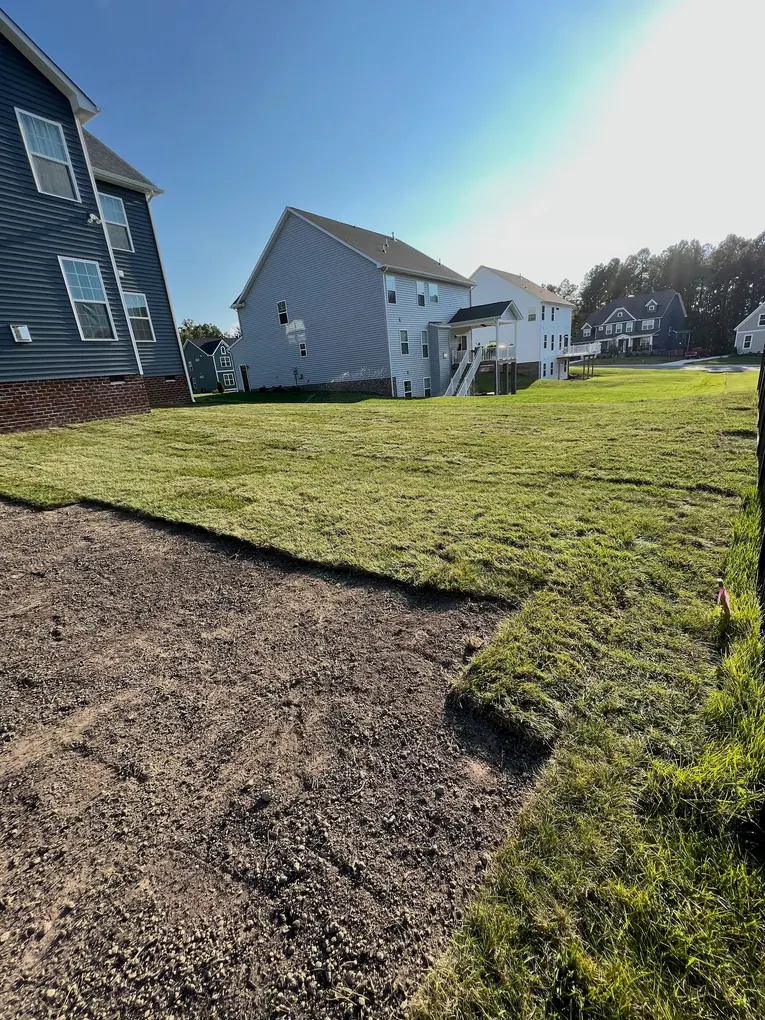Fresh sod across the backyard lawn